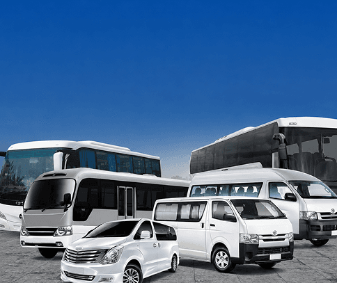 A customized fleet of passenger vehicles